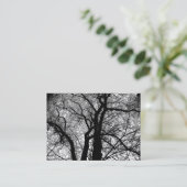 Carte De Visite Arbres à Contraste Élevé (Debout devant)