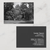 Carte De Visite Arbres, Bute Park, Cardiff BW (Devant / Derrière)