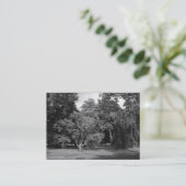Carte De Visite Arbres, Bute Park, Cardiff BW (Debout devant)