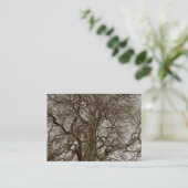 Carte De Visite Arbres d'hiver au début du printemps - Sepia (Debout devant)