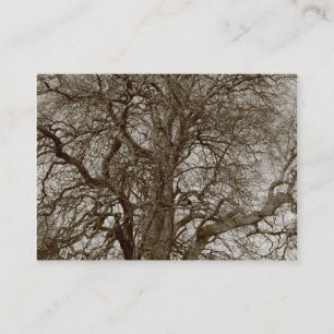 Carte De Visite Arbres d'hiver au début du printemps - Sepia