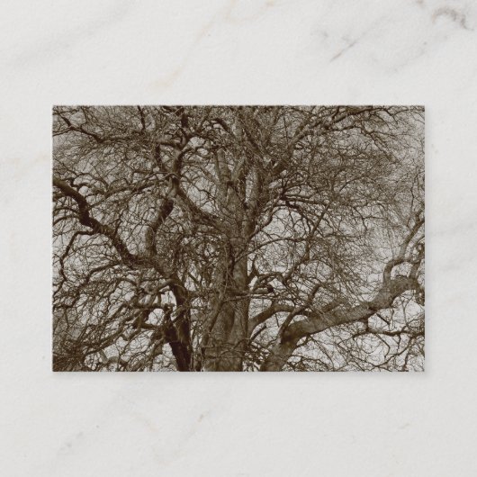 Carte De Visite Arbres d'hiver au début du printemps - Sepia (Devant)