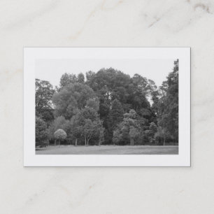 Carte De Visite Arbres, Parc Bute, Cardiff