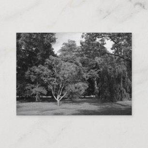 Carte De Visite Arbres, Parc Bute, Cardiff BW