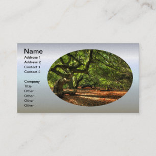 Carte De Visite Arbres tordus de Lavizzara