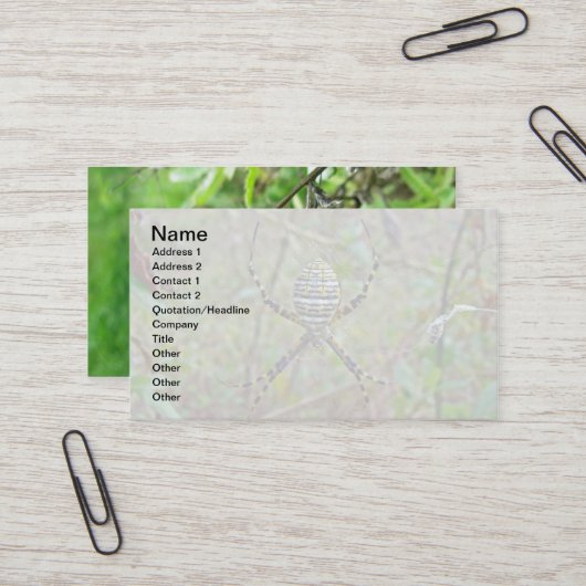 Carte De Visite Argiope Tisseur Orb Araignées (Devant/Arrière en situation)