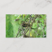 Carte De Visite Argiope Tisseur Orb Araignées (Dos)