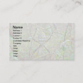 Carte De Visite Argiope Tisseur Orb Araignées (Devant)