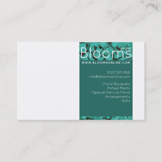 Carte de visite Arrière - plan Pic (Dos)