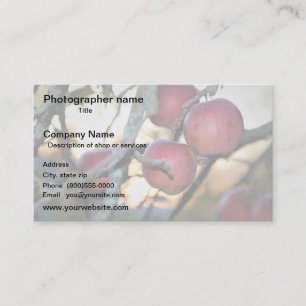 Carte De Visite Artiste/Photographe/Art numérique