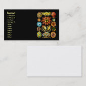 Carte De Visite Ascidiacea (Equipes de mer), Ernst Haeckel Fine Ar (Devant / Derrière)