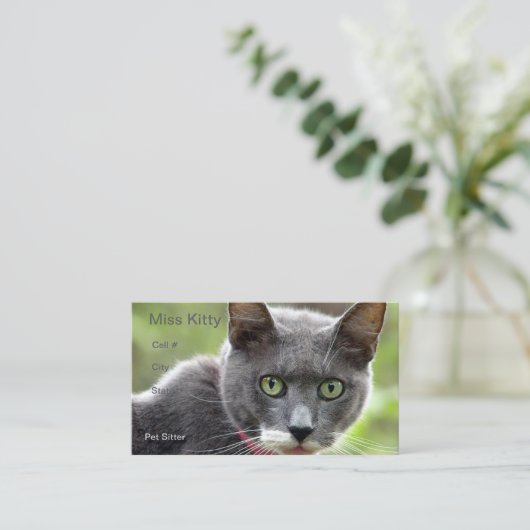 Carte de visite assis (Debout devant)