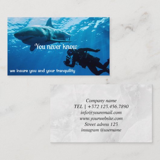 Carte De Visite Assurance Consultant Agent d'assurance Entreprise  (Devant / Derrière)