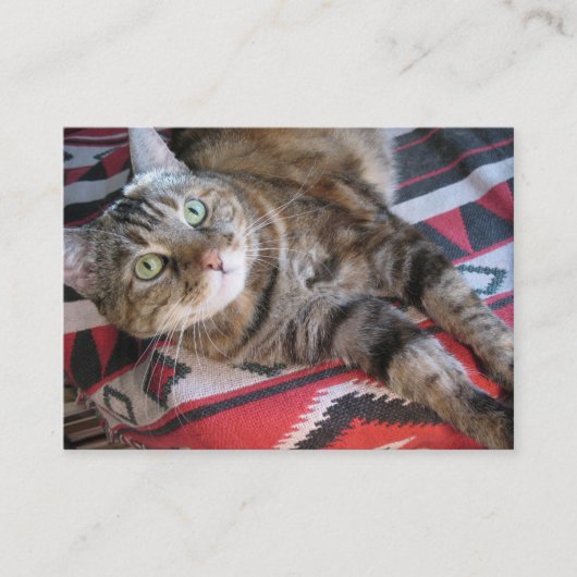 Carte De Visite atc d'aceo de chat de cannelle (Devant)