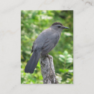 Carte De Visite ATC de Catbird