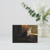 Carte De Visite ATC de Catbird de bébé (Debout devant)