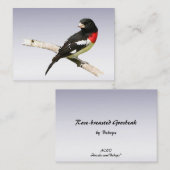 Carte De Visite ATC de gros-bec de Rose-breasted (Devant / Derrière)