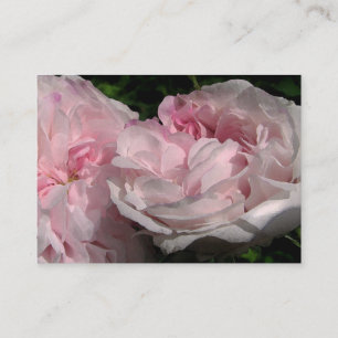 Carte De Visite ATC de Léda