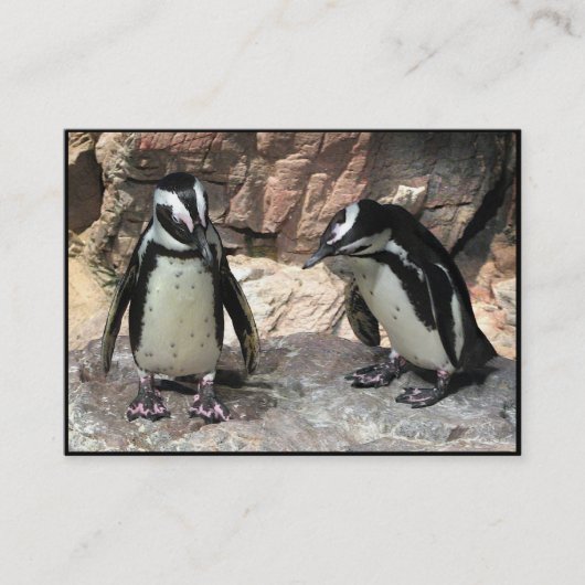 Carte De Visite ATC de pingouins (Devant)