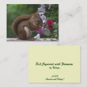 Carte De Visite ATC d'écureuil rouge et de pétunias (Devant / Derrière)