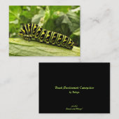 Carte De Visite ATC noir de Caterpillar de machaon (Devant / Derrière)