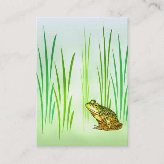 Carte De Visite ATC Princess Charming (Devant)