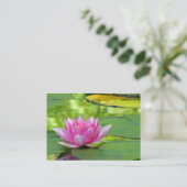 Carte De Visite ATC Water Lily (Debout devant)