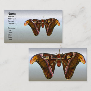 Carte De Visite Atlas Moth