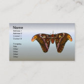 Carte De Visite Atlas Moth (Devant)