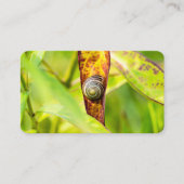 Carte De Visite attachement calme (Devant)