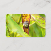 Carte De Visite attachement calme (Dos)