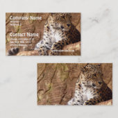 Carte de visite attentif de léopard (Devant / Derrière)