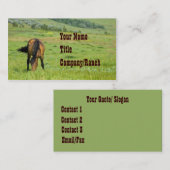 Carte De Visite Au pâturage occidental (Devant / Derrière)