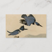Carte De Visite Audubon Belted Kingfisher Wildlife Bird (Dos)