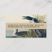 Carte De Visite Audubon Bird Loon Diver Classic (Dos)