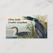 Carte De Visite Audubon Bird Loon Diver Classic (Devant)
