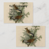 Carte De Visite Audubon Cèdre cire oiseau (Devant / Derrière)