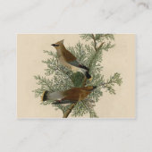 Carte De Visite Audubon Cèdre cire oiseau (Dos)