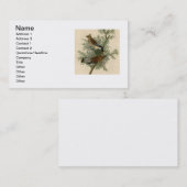 Carte De Visite Audubon Cèdre cire oiseau (Devant / Derrière)
