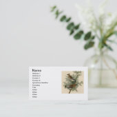 Carte De Visite Audubon Cèdre cire oiseau (Debout devant)