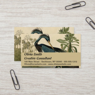 Carte De Visite Audubon Héron de Louisiane Oiseaux Amérique Art