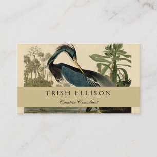 Carte De Visite Audubon Héron de Louisiane Oiseaux Amérique Art