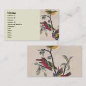 Carte De Visite Audubon Peint Bunting Bird Wildlife (Devant / Derrière)