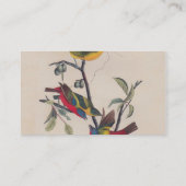 Carte De Visite Audubon Peint Bunting Bird Wildlife (Dos)