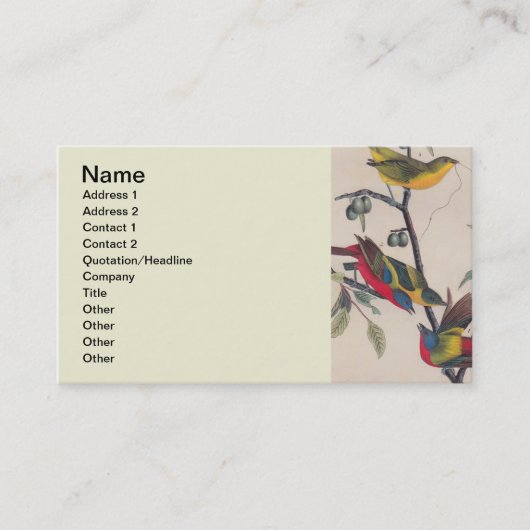 Carte De Visite Audubon Peint Bunting Bird Wildlife (Devant)