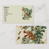 Carte De Visite Audubon Throsé de colibri (Devant / Derrière)