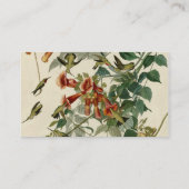 Carte De Visite Audubon Throsé de colibri (Dos)