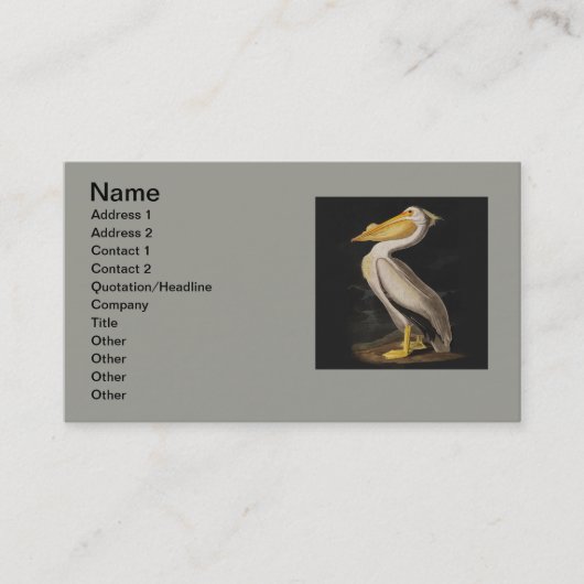 Carte De Visite Audubon White Pelican Bird Amérique (Devant)