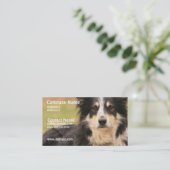 Carte de visite australien de berger (Debout devant)