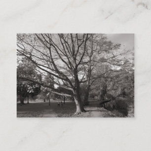 Carte De Visite Automne dans le parc